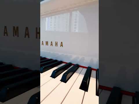 Grand piano reveal in Peacock Alley