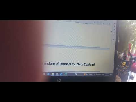 NZPolice302part2