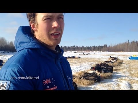 2014 Iditarod rookie Christian Turner, from Australia, in Nikolai