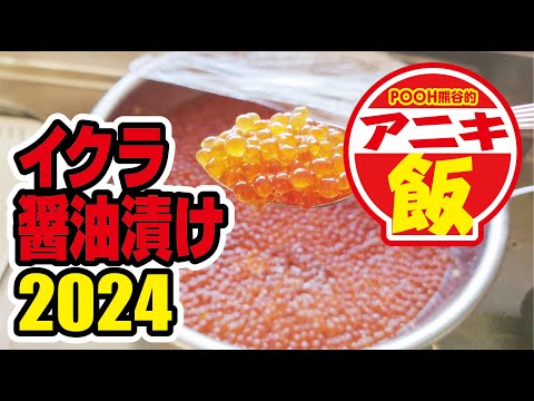 今年も漬けるよ！イクラ醤油漬け2024～アニキ飯