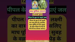 माघ पूर्णिमा 2025। पीपल पर चढ़ाएं जल। ।#shorts #trending #viralvideo #viralshorts #shortvideo #reels