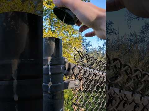 There's a secret geocache in the middle of this fence post! | GeoTrek #shorts