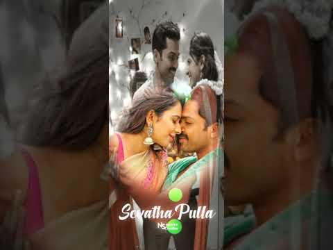 Sevatha Pulla Song - Theeran Adhigaram Ondru movie Whatsapp status   || 🄽🅂 🄲🅁🄴🄰🅃🄸🄾🄽 ||