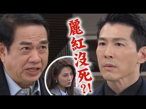 【願望】EP176預告 愛倫竟然懷孕!世賢抓到顧成偷吃雅萱 金鋒設計珍妮!意外發言勝強驚麗紅沒死?!│完全娛樂