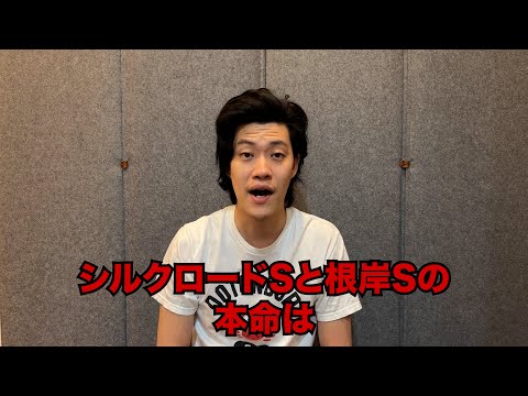 生涯収支マイナス４億円君のシルクロードS&根岸S予想