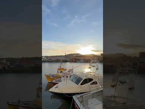 Scarborough harbour #shortsvideo  #scarborough #boats #fishing