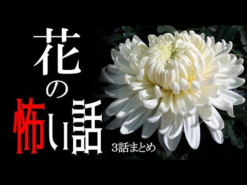 【怪談】花の怖い話【朗読/男性】【作業用/睡眠用】