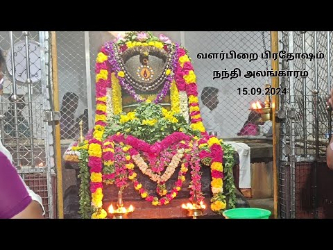 வளர்பிறை பிரதோஷம் 🔴 Live | நந்தி அலங்காரம் 15.09.2024