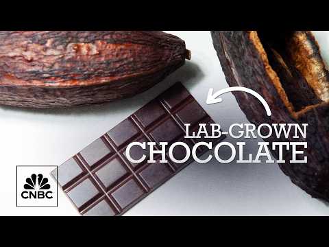 The price of cocoa is soaring — could lab-grown chocolate be the answer?