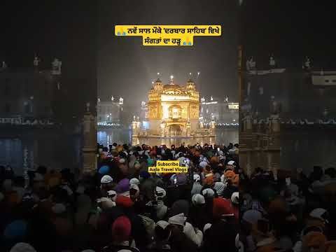 new year at golden temple #darbarsahiblive #darbarsahibkirtan #sikhism #gurbanistatus #shorts