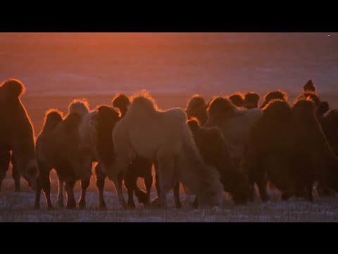 Asia's Amazon Jungle | Holy Sources (Nature Documentary)