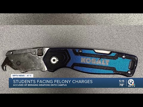 2 students arrested after weapons found at school in Martin County