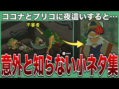 【ティアキン】カカリコ村のココナとプリコに夜這いすると…意外と知らない爆笑小ネタ集8選【ゼルダの伝説ティアーズオブザキングダム/ティアキン】