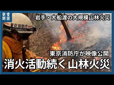 岩手・大船渡市の大規模山林火災　続く消火活動　東京消防庁が動画公開