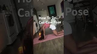 Cat-Cow Pose: Essential Stretch for Beginners! #shorts #shortsviral #yoga #yogadaily #shortsfeed