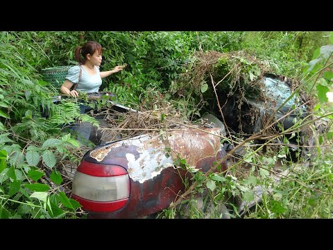 Repair recover maintain abandoned car. Repair machine abandoned car. Repair Restoration