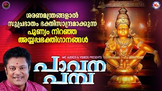 ശരണമന്ത്രങ്ങളാൽ സുപ്രഭാതം ഭക്തിസാന്ദ്രമാക്കുന്ന അയ്യപ്പഭക്തിഗാനങ്ങൾ | Ayyappa Songs Malayalam