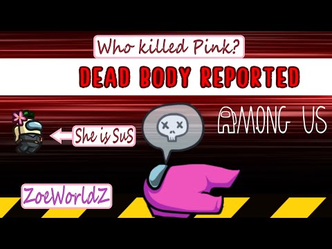 AMONG US - Who killed Pink?