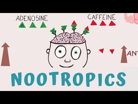 HOW TO BOOST BRAIN POWER - NOOTROPICS SUPPLEMENTS