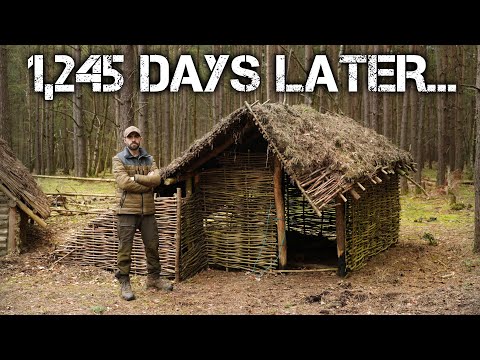 Viking Inspired Bushcraft Shelter 1,245 Days later - What's it like now?