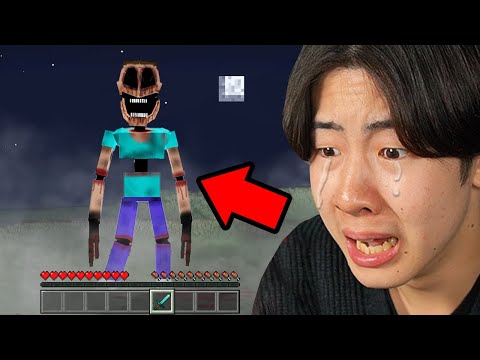 海外で話題になったこの人がヤバい...【マイクラ / マインクラフト】