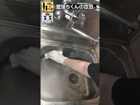 レックが誇るロングセラー激落ちくんはやっぱり凄かった！！