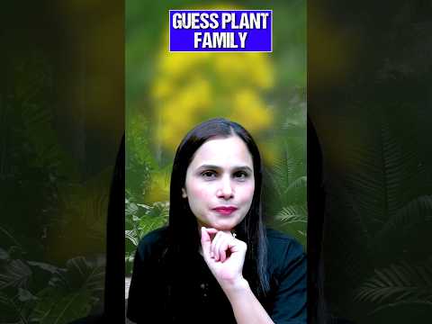 Guess the plant family! Important NEET concept