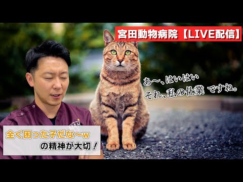 宮田動物病院 ライブ配信【MAHチャンネル】