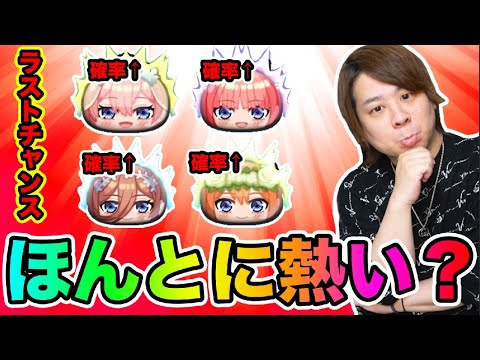 ぷにぷに「1番熱いガシャ到来!!」久しぶりにラストチャンス引いてみた!!【妖怪ウォッチぷにぷに 】五等分の花嫁コラボ Yo-kai Watch part1580とーまゲーム