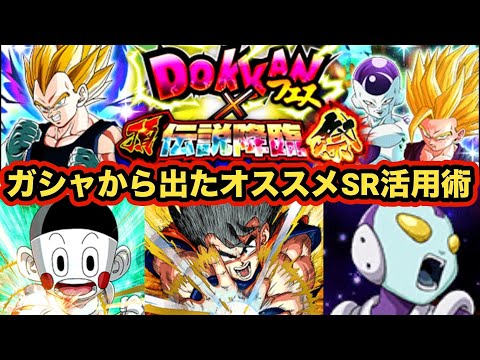 ガシャ引いて溢れたSRの使い道は？おすすめガシャ産SR活用術解説‼︎【ドッカンバトル】【Dragon Ball Z Dokkan Battle】