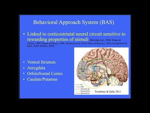 Rewards and the Mood Rollercoaster: A Reward Hypersensitivity Model of Bipolar Spectrum Disorders