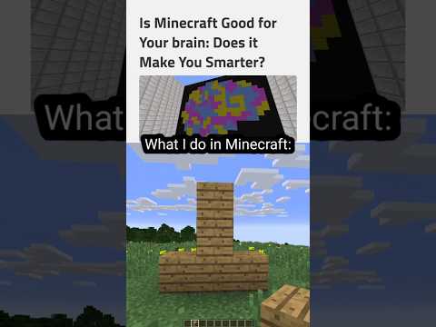 Minecraft moment