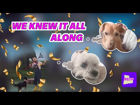 Is The WINNER of AGT 2023 The GOLD STANDARD of Dog Acts?! - The Recap Room Highlights