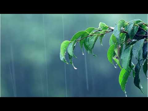 Gentle Rain, Rain Sounds for Sleeping - to Beat insomnia, Relax, Study, 99% Instantly Fall Asleep