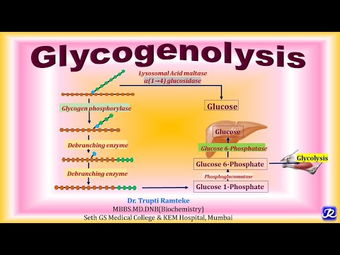 13: Glycogenolysis | Carbohydrate Metabolism | Biochemistry |N'JOY Biochemistry