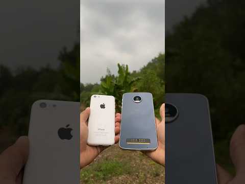 Compare Camera 📹 Apple Iphone 5c VS Motorola Moto Z Play