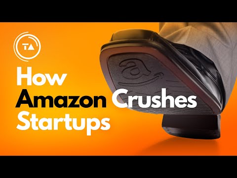 Amazon's playbook for crushing startups