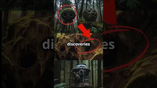 5 Shocking Discoveries In Forests!