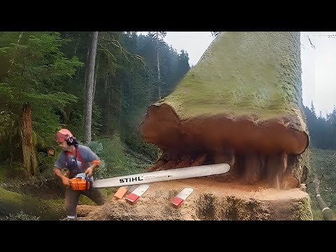 Satisfying Videos Of Workers Doing Their Job Perfectly