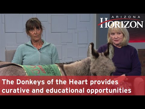 The Donkeys of the Heart provides curative, educational opportunities | Arizona Horizon