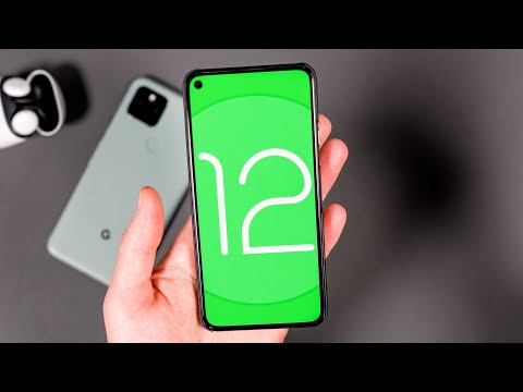 Android 12 Developer Preview 1 First Look!