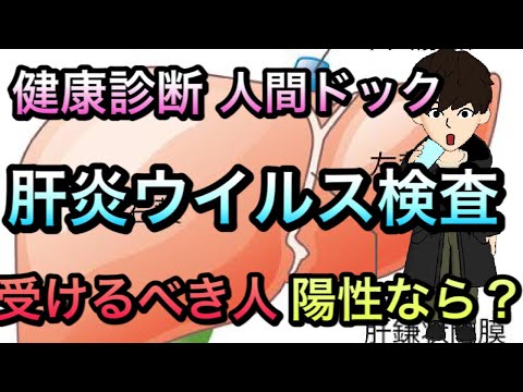 【健康診断】肝炎ウイルス検査について解説！毎年受ける？陽性と言われたら？