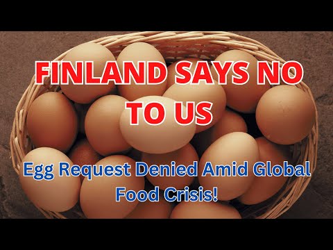 Finland Says NO to US: Egg Request Denied Amid Global Food Crisis!