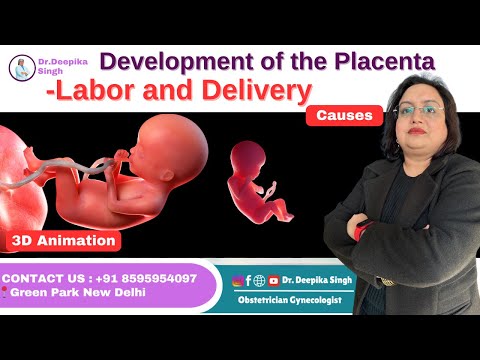 Development of the Placenta-labor and Delivery | प्लेसेंटा का विकास - प्रसव & डिलीवरी | Dr. Deepika