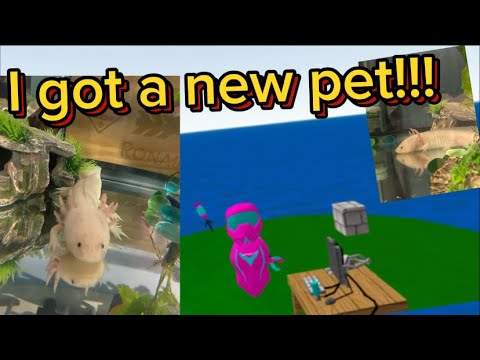 I got a new pet and added a little thing about the new pet in my new grabVR map￼!!