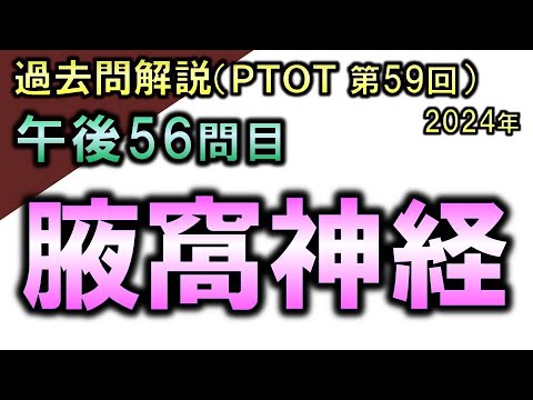 【過去問解説：第59回国家試験-午後56問目】腋窩神経【理学療法士・作業療法士】