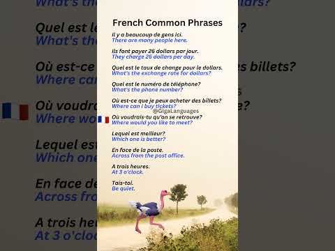 French Common Expressions Part 22 #LearnFrench #FrenchPhrases