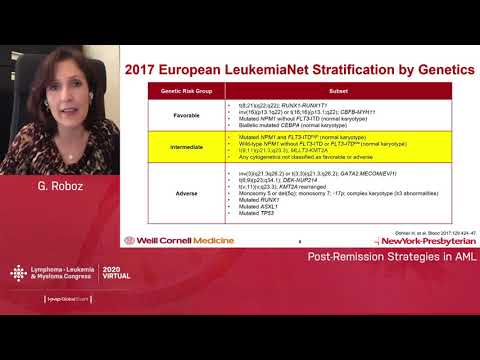 Post-remission Strategies in AML