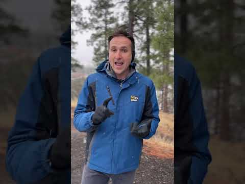 Snow falling in northern Arizona as the latest winter storm moves in