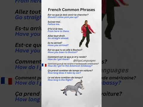 French Common Phrases Part 15 #LearnFrench #FrenchPhrases